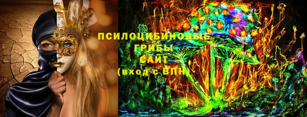 каннабис Новозыбков