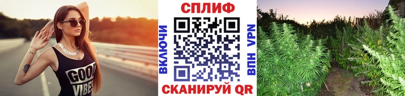 Бошки марихуана сатива  Юрга 